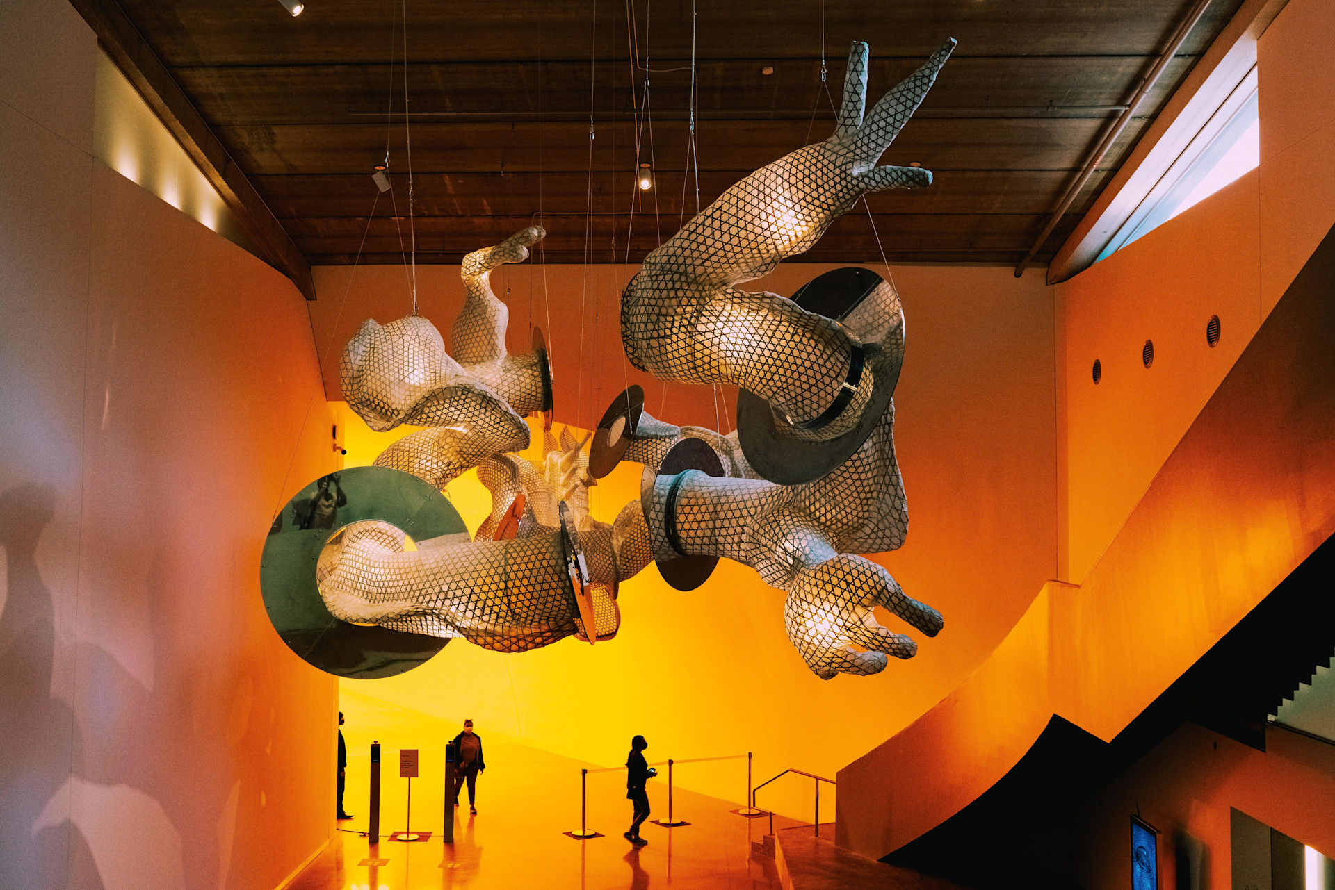 Museum of Fine Arts, Houston